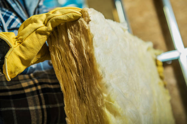 Best Specialized Insulation Services in Westlake, OH