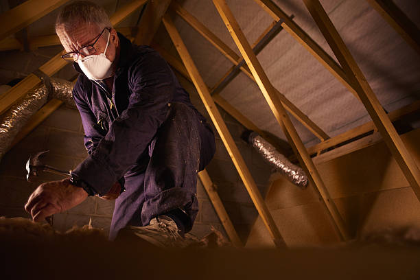 Best DIY Insulation Kits and Guidance in Westlake, OH